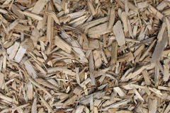 biomass boilers Greynor